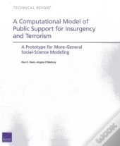 A Computational Model Of Public Support For Insurgency And Terrorism