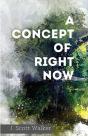 A Concept Of Right Now - Preview