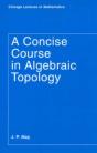 A Concise Course In Algebraic Topology - Preview