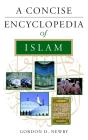 A Concise Encyclopedia Of Islam - Preview