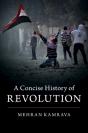 A Concise History Of Revolution - Preview