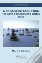 A Concise Introduction To Data Structures Using Java