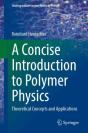 A Concise Introduction To Polymer Physics - Preview