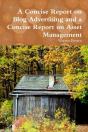 A Concise Report On Blog Advertising And A Concise Report On Asset Management - Preview