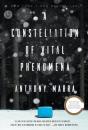 A Constellation Of Vital Phenomena - Preview