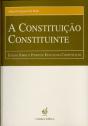 A Constituição Constituinte - Preview
