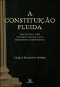 A Constituição Fluida - Preview