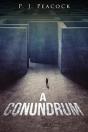 A Conundrum - Preview
