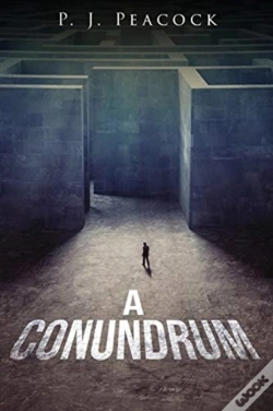 Capa do artigo A Conundrum