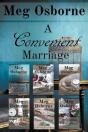 A Convenient Marriage - Preview