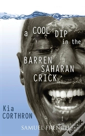 A Cool Dip In The Barren Saharan Crick