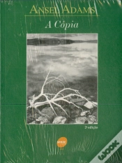 Capa do artigo A Cópia