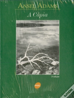 Capa do artigo A Cópia