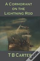 A Cormorant On The Lightning Rod