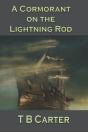 A Cormorant On The Lightning Rod - Preview
