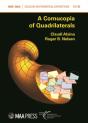 A Cornucopia Of Quadrilaterals - Preview