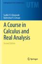 A Course In Calculus And Real Analysis - Preview