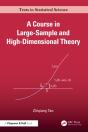 A Course In Large-Sample And High-Dimensional Theory - Preview