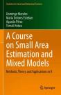 A Course On Small Area Estimation And Mixed Models - Preview