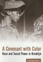A Covenant With Color - Preview