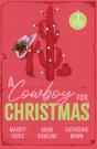 A Cowboy For Christmas - Preview