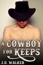 A Cowboy For Keeps - Preview