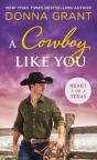 A Cowboy Like You - Preview