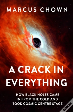 Capa do artigo A Crack In Everything