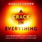 A Crack In Everything - Preview