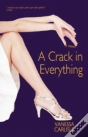 Capa do artigo A Crack In Everything