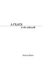 A Crack In The Sidewalk - Preview