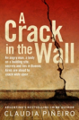 A Crack In The Wall - Preview