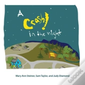 A Crash In The Night