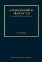 A Criminological Imagination - Preview