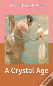 Capa do artigo A Crystal Age