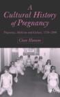A Cultural History Of Pregnancy - Preview