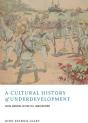A Cultural History Of Underdevelopment - Preview
