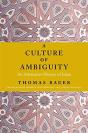 A Culture Of Ambiguity - Preview