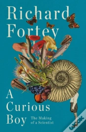 Capa do artigo A Curious Boy