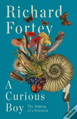 Capa do artigo A Curious Boy
