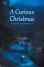 A Curious Christmas - Preview