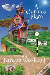 Capa do artigo A Curious Place