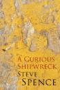 A Curious Shipwreck - Preview
