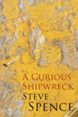 Capa do artigo A Curious Shipwreck
