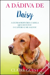 Capa do artigo A Dádiva de Daisy