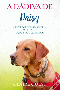 Capa do artigo A Dádiva de Daisy