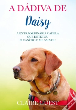 Capa do artigo A Dádiva De Daisy