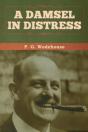 A Damsel In Distress - Preview