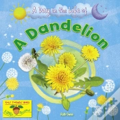Capa do artigo A Dandelion