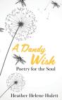 A Dandy Wish - Preview